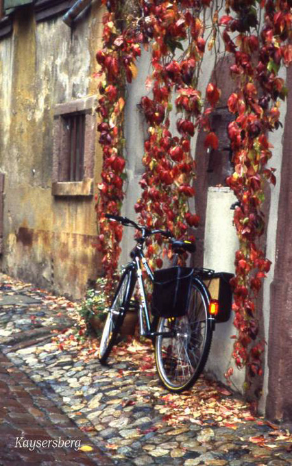 a bicycle with a backdrop of autumn leaves