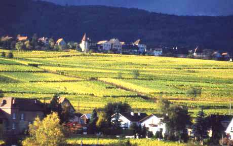 a town on the  route des vins