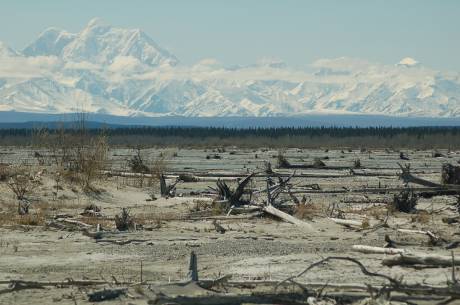 Mt. McKinley and the Delta River Bed