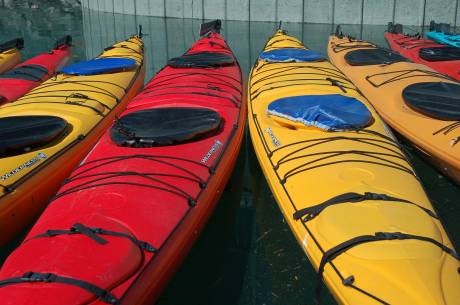kayaks tied at harbor