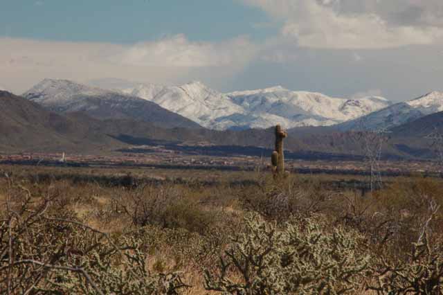 snow-capped mtns