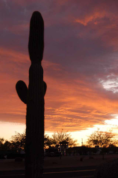 a desert sunset