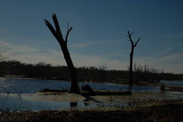 Elm Lake