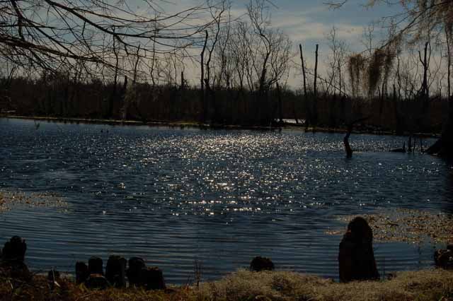 Elm Lake