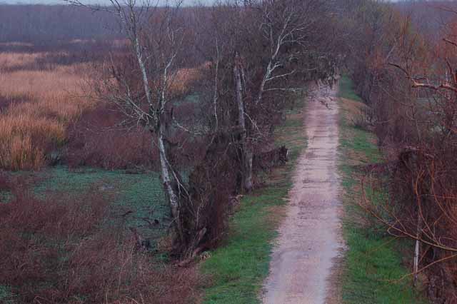 walking path near 40-acre lake