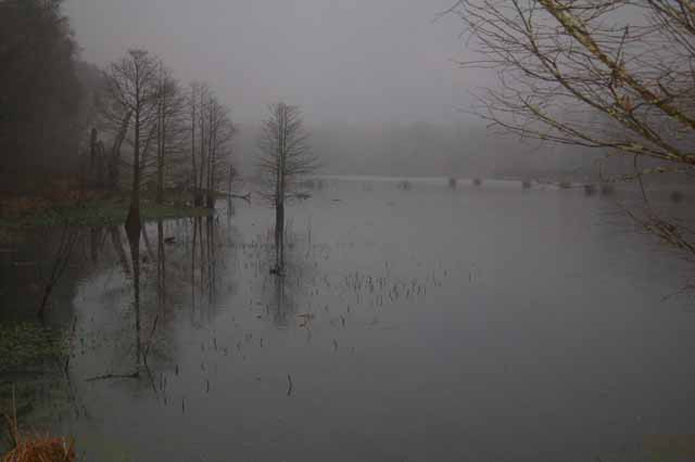 Little Creekfield Lake