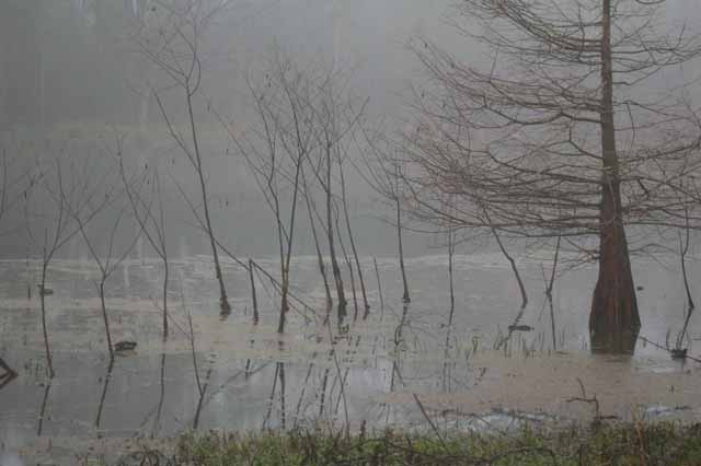 Little Creekfield Lake