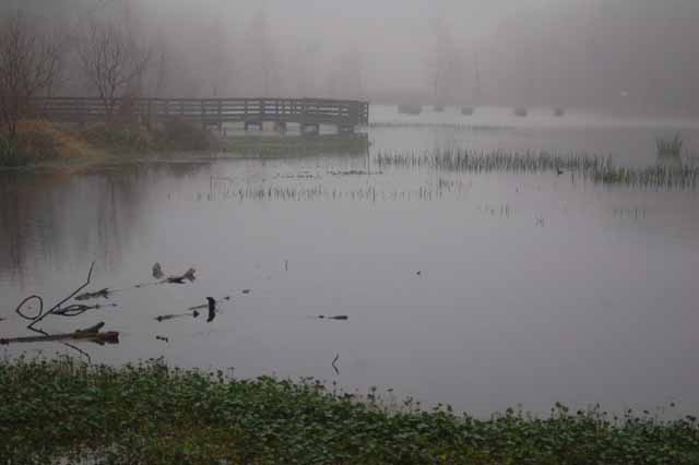 Little Creekfield Lake