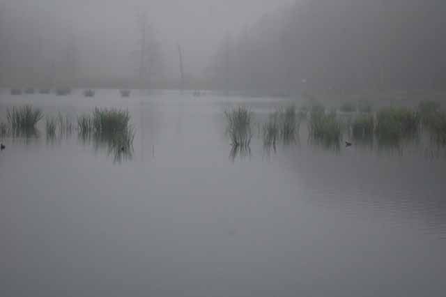 Little Creekfield Lake