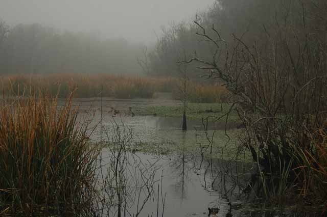 Little Creekfield Lake