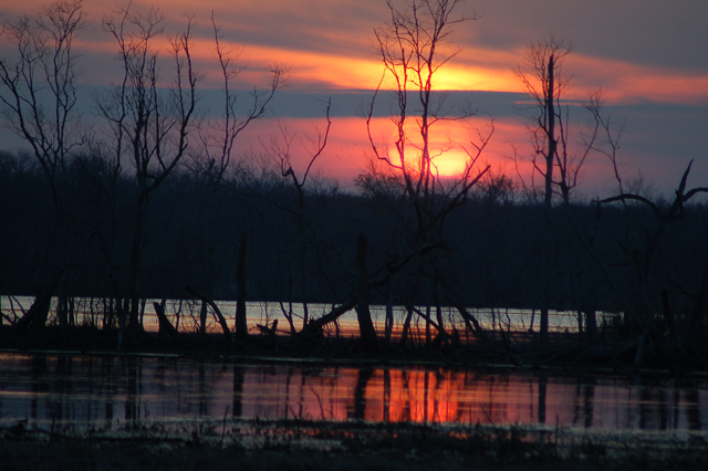 sunset at elm lake