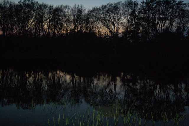 Little Creekfield Lake at dusk