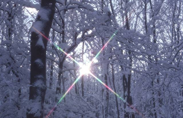 the sun shines behind the snow-coated trees