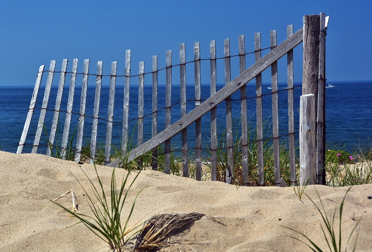 beach dunes fence