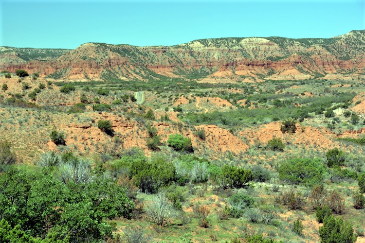 red rock terrain