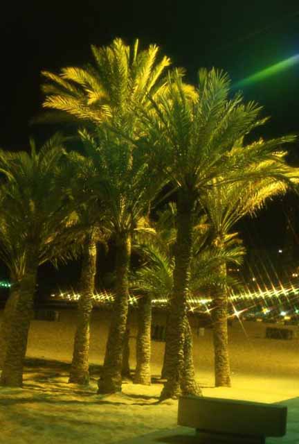 Benidorm, Spain promenade on beach