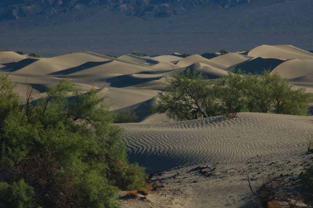 Death Valley dunes