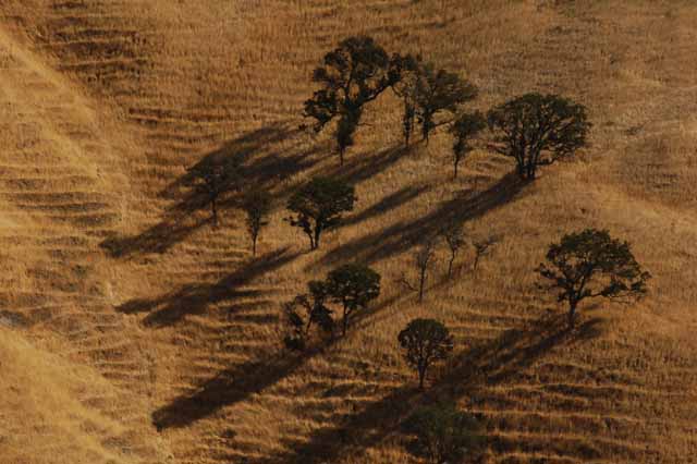 Corral Hollow Road, Tracy