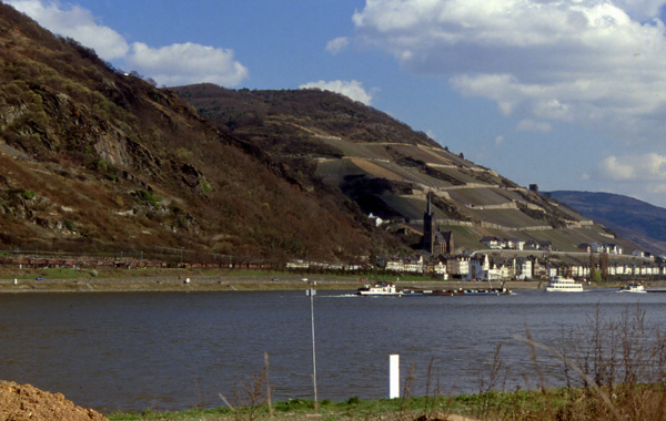 the Rhein River