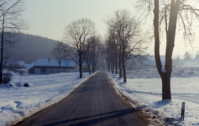 a country road leading out of Vilseck