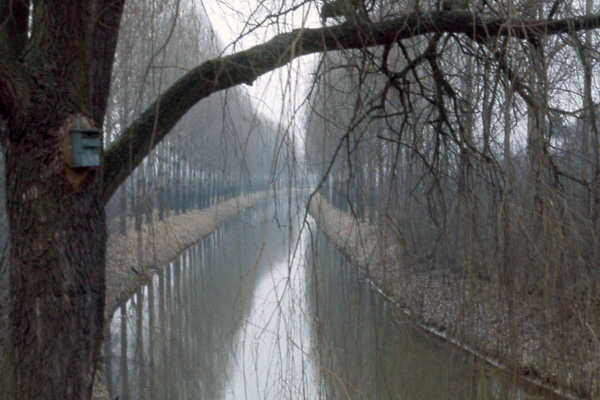 vils river in early winter
