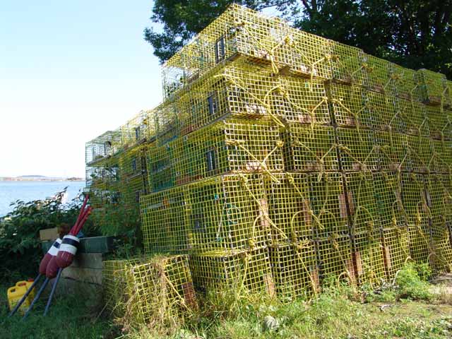 lobster traps at south harpswell