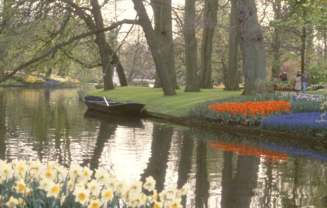 boat in canal among flowers