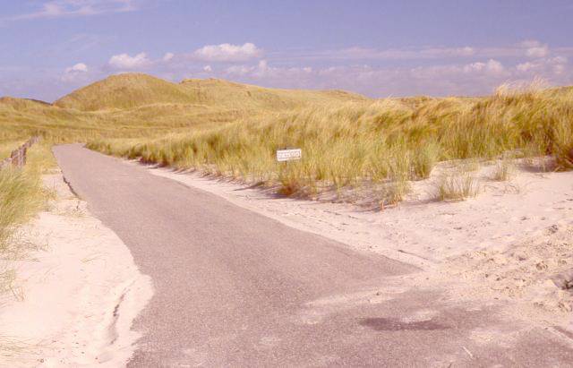 bike trail through the sand dunes