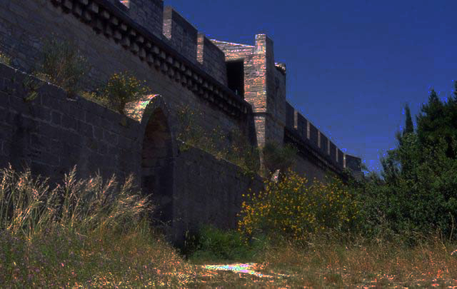 Avignon wall