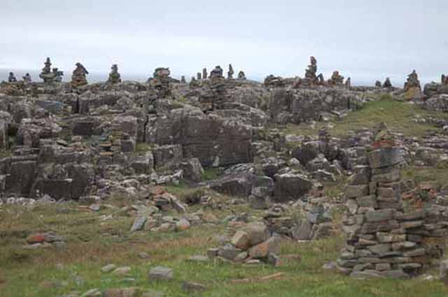 field of cairns