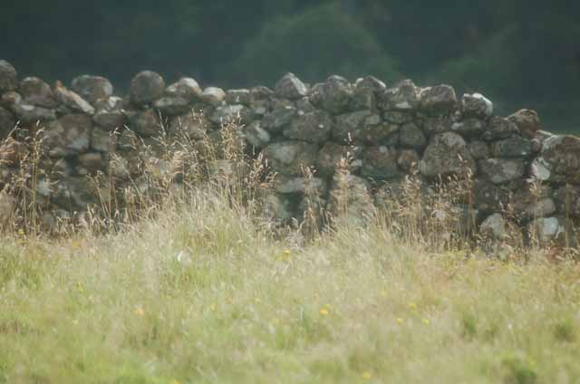 a typical stone wall