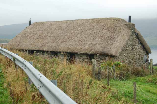 a thatched house
