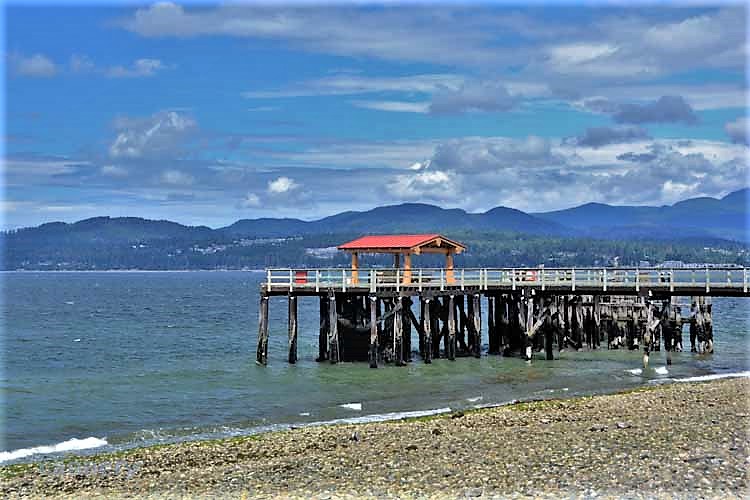 beach scene with pier