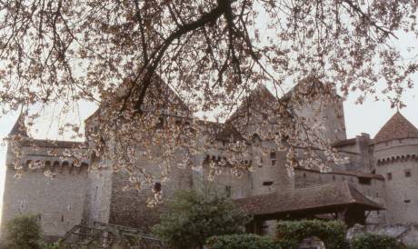 The castle in spring