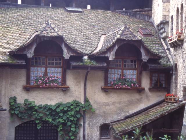 foliage creates a softness to the castle windows