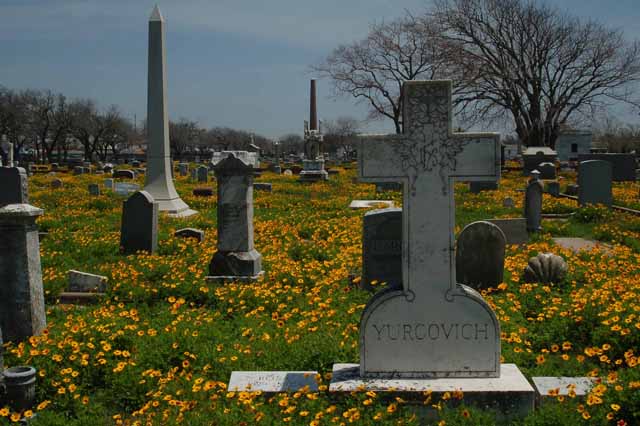 galveston cemetery