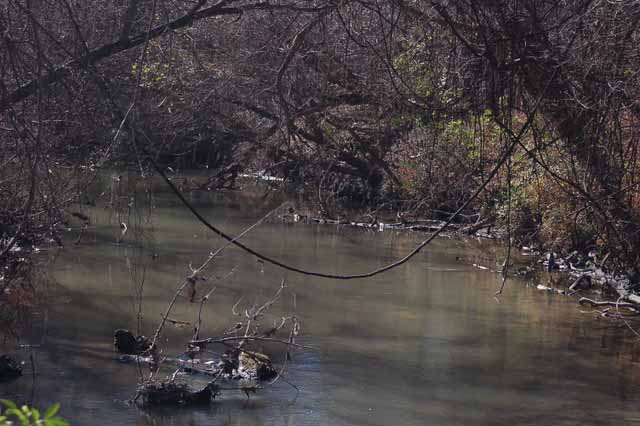 the San Antonio River behind Mission San Juan