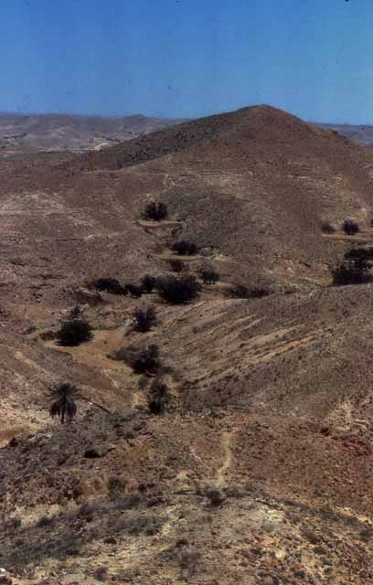 Troglodytes in Matmata