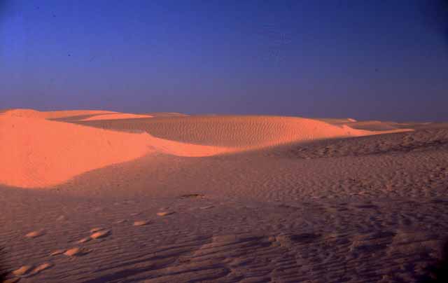 desert sand