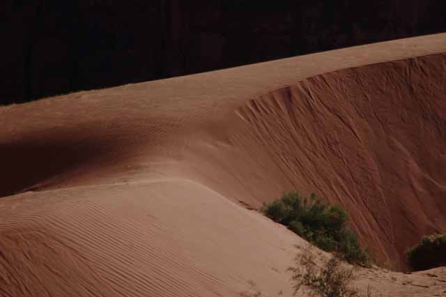 closeup of sand dune