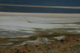 antelope island- great salt lake
