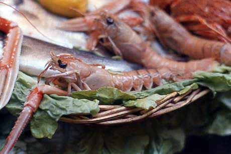 shrimp displayed at market