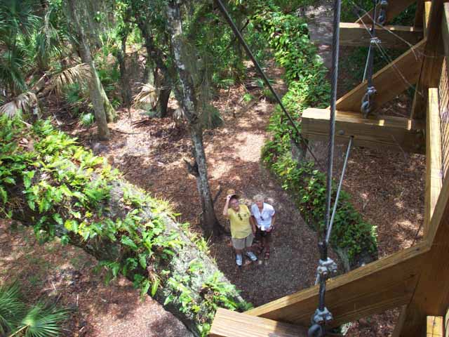 looking down from the canopy walk