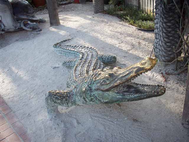 alligator at Phillippi Creek Restaurant