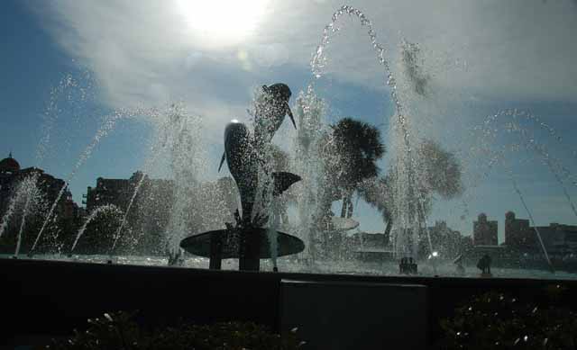 sarasota harbor fountain of dolphins