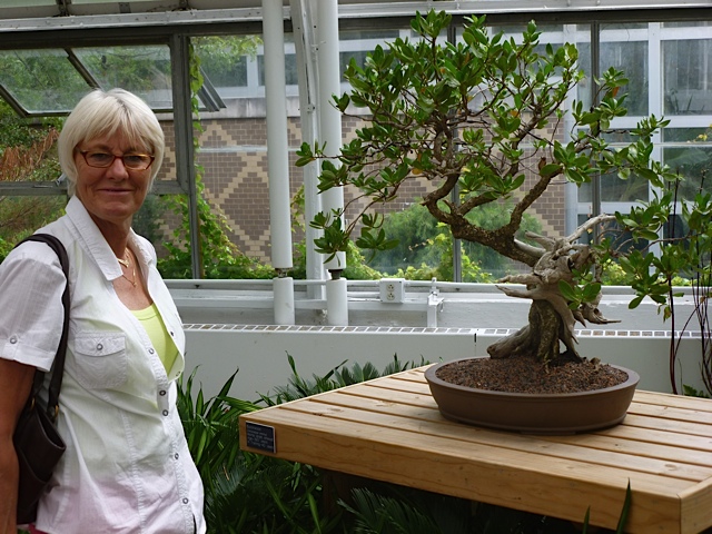 Charlene and a bonsai