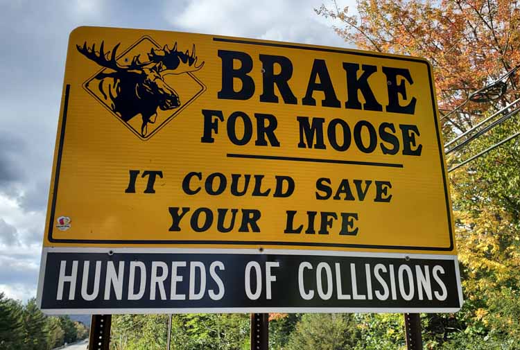 brake for moose sign