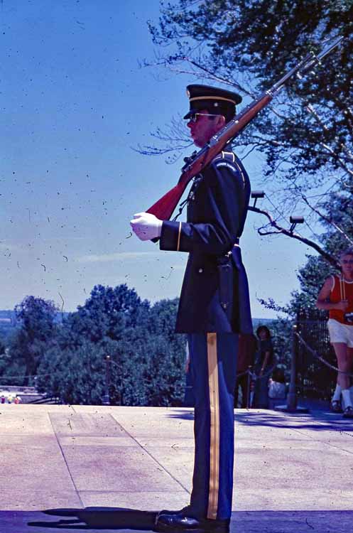 soldier at tomb