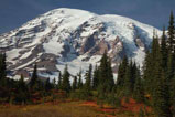 Mt. Rainier