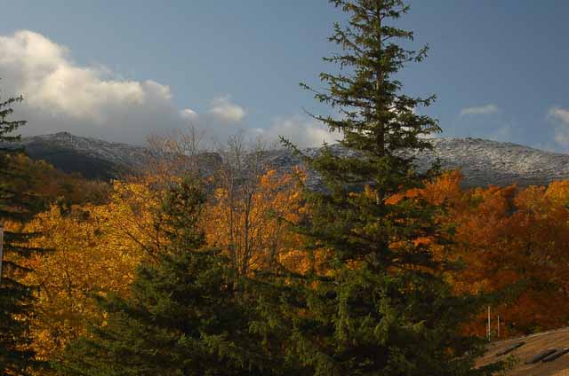 white mtn in background